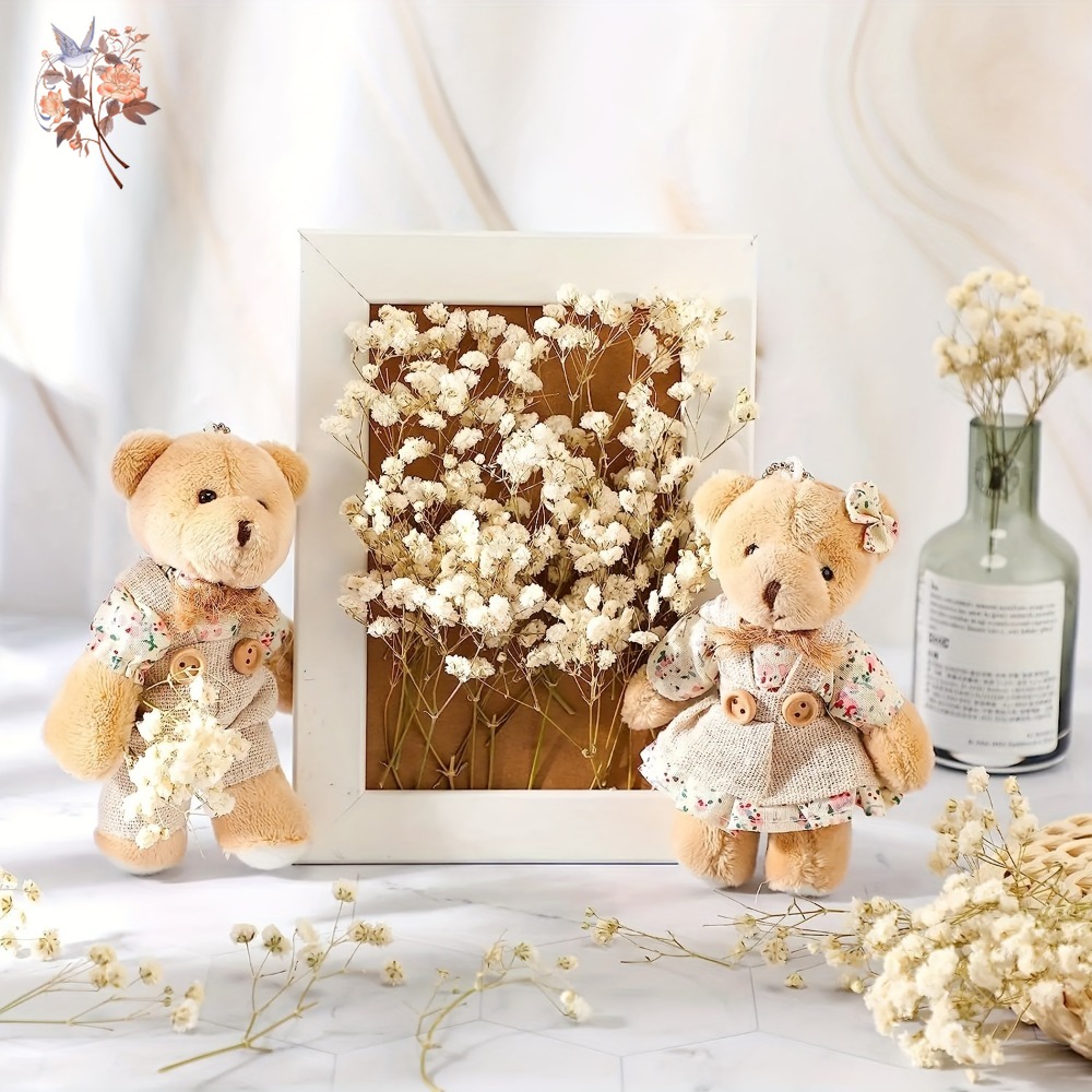 100pcs Mini Dried Baby's Breat - Craft Embellishment ulasan dan harga
